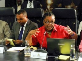 Haïti - Reconstruction : Plan d’intervention du Gouvernement à Bernagousse