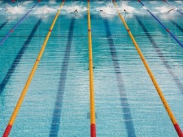 Haiti - Sports : Haiti member of the FINA