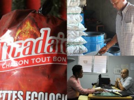 Haiti - Environment : Commercial success in the organically coal
