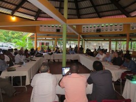 Haiti - Agriculture : Green economic sectors of South and Grande Anse