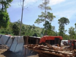 Haiti - Social : Returnees from DR survive thanks to humanitarian aid...