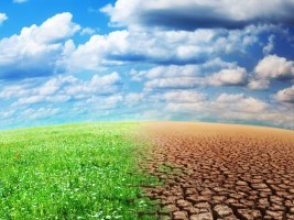 Haiti - Environment : Roundtable on Climate Change