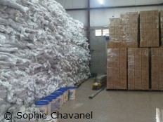 Haiti - Humanitarian : The Red Cross ready to face Tomas