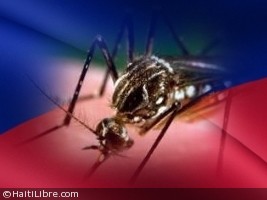 Haïti - Santé : Forte hausse du nombre de cas de fièvre ZIKA