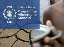Haiti - Humanitarian : Emergency Operation to assist 1 million Haitians