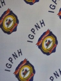 Haïti - Sécurité : IGPNH, 456 actes d’enquête