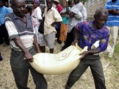 Haiti - Agriculture : FAO to the rescue of rural populations