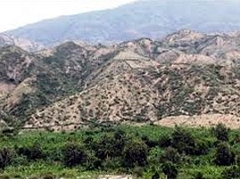 Haiti - Environment : Experimenting of new agricultural practices