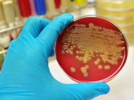 Haiti - Health : Disturbing return of diphtheria in the country...