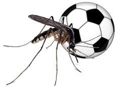 Haïti - Football U17 : Vives réactions du gouvernement haïtien