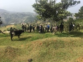 Haïti - Environnement : La réserve écologique de «Wynn Farm» sous la protection de la BSAP