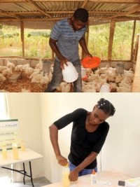 Haiti - Economy : Positive results for the winners of the «Renesans» contest