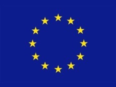 Haïti - Élections : L'Union Européenne octroi 500.000 euros