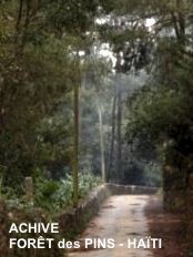 Haïti - Environnement : Projet de parc linéaire entre Dajabon et Ouanaminthe