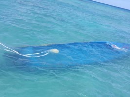 Haïti - Naufrage : Fin des recherches, 14 survivants 15 morts 4 disparus