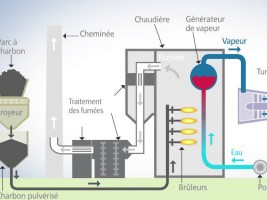 Haiti - Economy : Energy and charcoal, the Diaspora has plans for the country