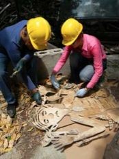 Haiti - Heritage : Rescue of the collection of Centre d’Art