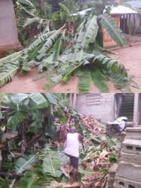 Haïti - Grand’Anse : Vents violents, une centaine de maisonnettes détruites (bilan provisoire)