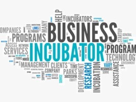 Haïti - Économie : 25 projets de création d’entreprises sélectionnés