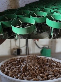 Haiti - Europe : $1M euros for a clean energy project for cooking