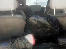 Haïti - Sécurité : Saisie de plus de 100 kg de marijuana à Belladère