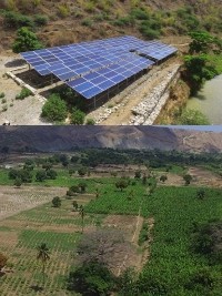 Haïti - Agriculture : Le Ministre Sévère adopte une triple approche