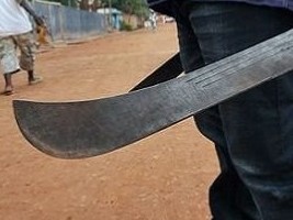 Haiti - FLASH : A peasant brigade kills 6 beef thieves with machete