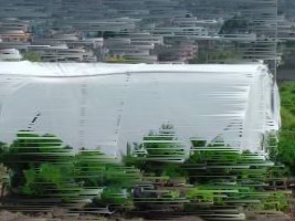 Haiti - FAO : Urban and peri-urban agriculture a way to improve food security