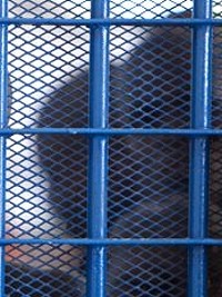 Haiti - Assassination of the President : Colombian detainees are doing well and are safe