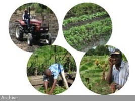 Haiti - Agriculture : The lack of access to inputs risks compromising spring crops