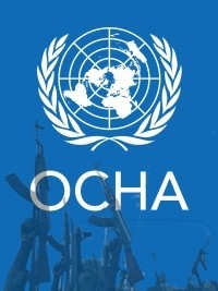 Haiti - Insecurity : UN call to end the carnage in Haiti