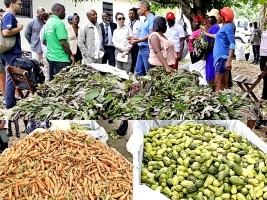 Haiti - Education : Distribution of local products in school canteens