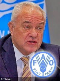 Haiti - Social : FAO fears a further deterioration of acute food insecurity in Haiti