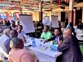 Haiti - Constitutional revision : National consultations progress