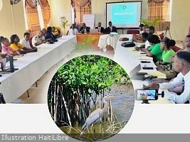 Haïti - Port-de-Paix : Vers une gestion intégrée de l’écosystème de mangrove de Haut-Fourneau