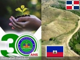 Haïti - Environnement : Relever le défi de la déforestation au pays