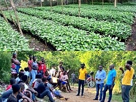 Haïti - Environnement : Jeunesse, agro-écologie et emplois verts