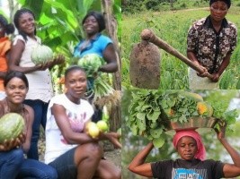 Haiti - Agriculture : More than 70% of farmers in Haiti are women