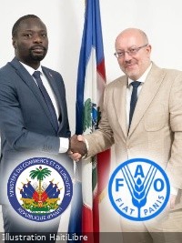 FAO ready to support the development of food supply chains in Haiti