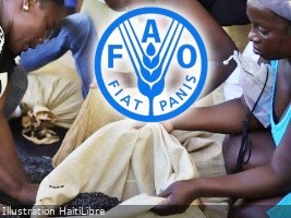 Aide de plus de 16 millions US$ pour une assistance alimentaire d’urgence en Haïti