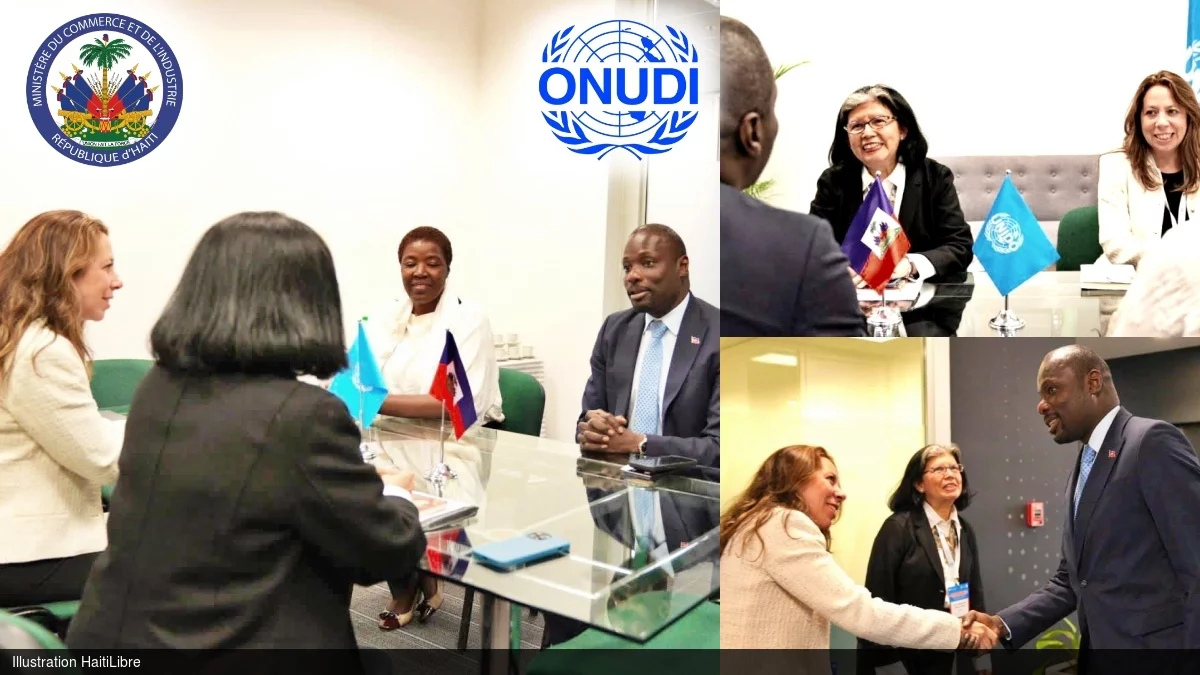 UNIDO alongside Haiti for the revival of the industrial sector