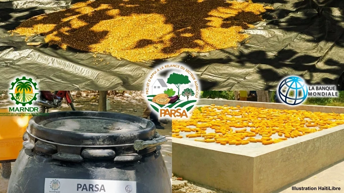Haïti - Agriculture : Don d’équipements post-récolte pour réduire les pertes et améliorer les revenus