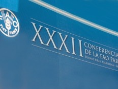 Haiti - Agriculture : «Everybody comes with its own flag and wants to do something...»