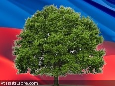 Haïti - Social : «Garder Haïti verte et belle»