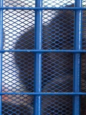 Haiti - Social : The respect for the rights of the child, a step towards the reconstruction of Haiti