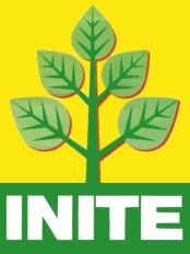 Haïti - Politique : INITE n’est pas «Kraze»...