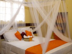 Haiti - Tourism : The Diaspora inaugurates its project of guesthouses in Haiti