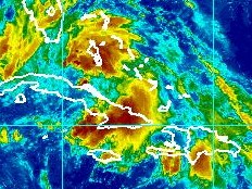 Haïti - Environnement : La situation s'améliore petit à petit en Haïti