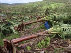 Haiti - Agriculture : $242 million damage...