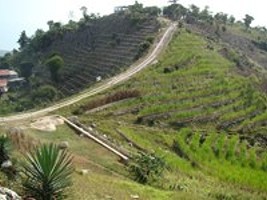 Haiti - Tourism : First Edition of the Festival of tourism Eco-mountain of Vallue